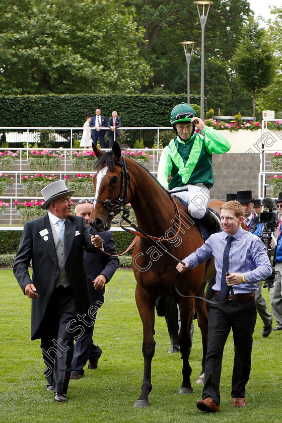 Settle-For-Bay-0007 
 SETTLE FOR BAY (Billy Lee) after The Royal Hunt Cup
Royal Ascot 20 Jun 2018 - Pic Steven Cargill / Racingfotos.com