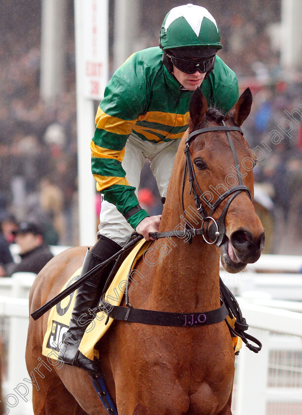 Pagero-0001 
 PAGERO (Richie McLernon)
Cheltenham 27 Jan 2019 - Pic Steven Cargill / Racingfotos.com