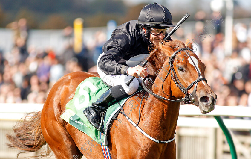 Millisle-0003 
 MILLISLE (Shane Foley) wins The Juddmonte Cheveley Park Stakes
Newmarket 28 Sep 2019 - Pic Steven Cargill / Racingfotos.com