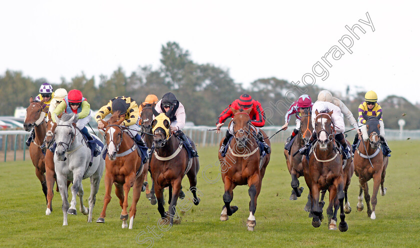 Minnelli-0002 
 MINNELLI (3rd left, Tom Marquand) beats SEA OF MYSTERY (centre) in The La Continental Cafe Of Great Yarmouth Handicap
Yarmouth 17 Sep 2019 - Pic Steven Cargill / Racingfotos.com