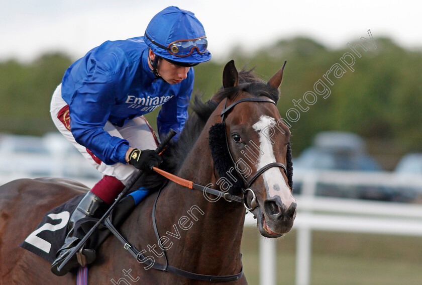 Desert-Fire-0002 
 DESERT FIRE (Oisin Murphy) winner of The Irish Lotto At totesport.com Handicap
Chelmsford 4 Sep 2019 - Pic Steven Cargill / Racingfotos.com