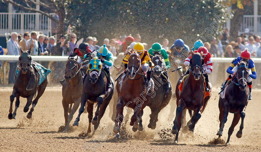 Marsalis-0003 
 MARSALIS (yellow, Ricardo Santana) wins The Bosque Bonita Julep Cup Allowance
Breeders Cup Meeting, Keeneland USA, 4 Nov 2022 - Pic Steven Cargill / Racingfotos.com