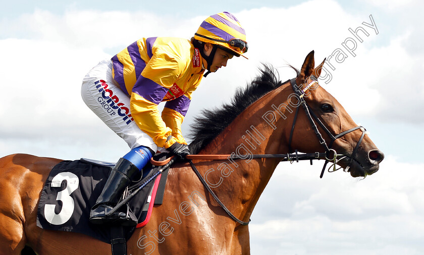 Cliffs-Of-Dover-0001 
 CLIFFS OF DOVER (Megan Nicholls)
Newbury 17 Aug 2018 - Pic Steven Cargill / Racingfotos.com