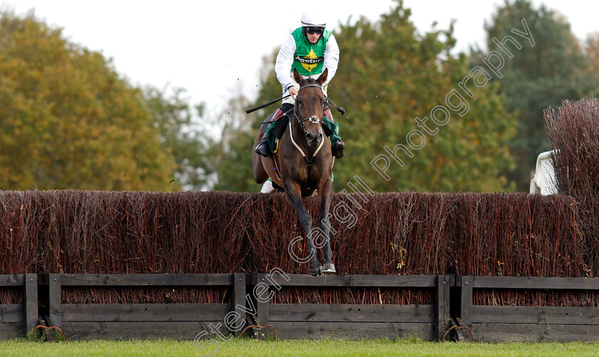 Bit-On-The-Side-0003 
 BIT ON THE SIDE (Sam Twiston-Davies)
Fakenham 16 Oct 2020 - Pic Steven Cargill / Racingfotos.com