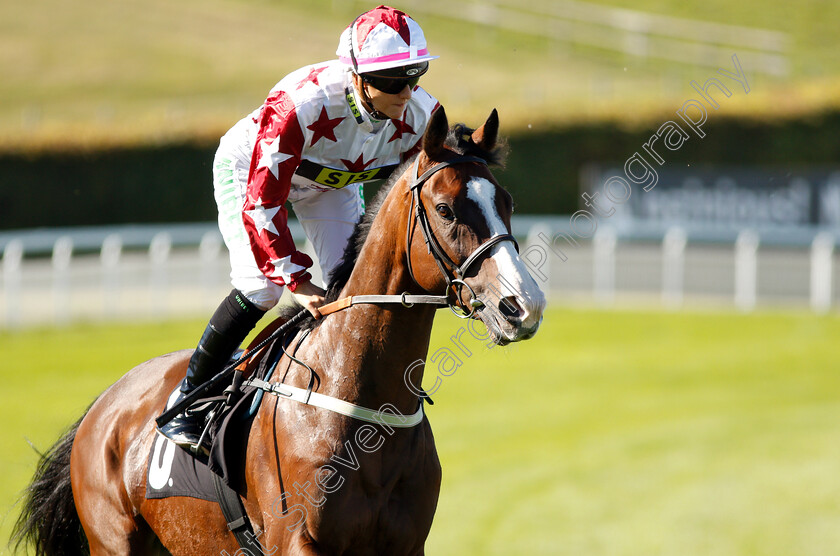 Enigmatic-0001 
 ENIGMATIC (Josephine Gordon) before winning The Maltsmiths Optional Claiming Handicap
Goodwood 26 Sep 2018 - Pic Steven Cargill / Racingfotos.com