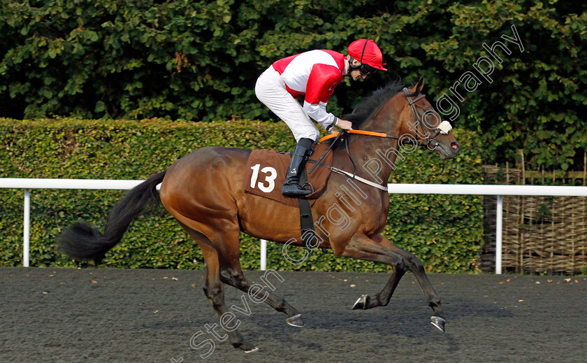 Ifton-0001 
 IFTON (Robert Havlin)
Kempton 3 Sep 2019 - Pic Steven Cargill / Racingfotos.com