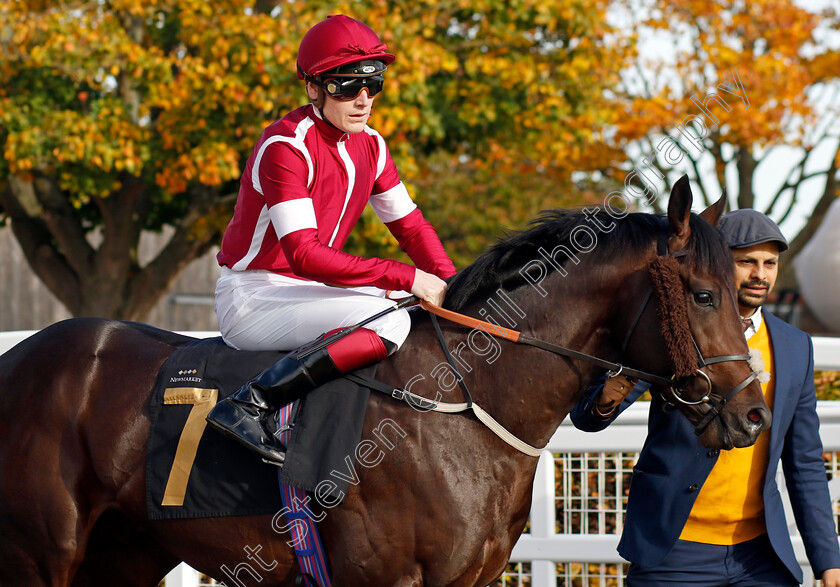 Qaiser-0001 
 QAISER (Cameron Noble)
Newmarket 19 Oct 2022 - Pic Steven Cargill / Racingfotos.com