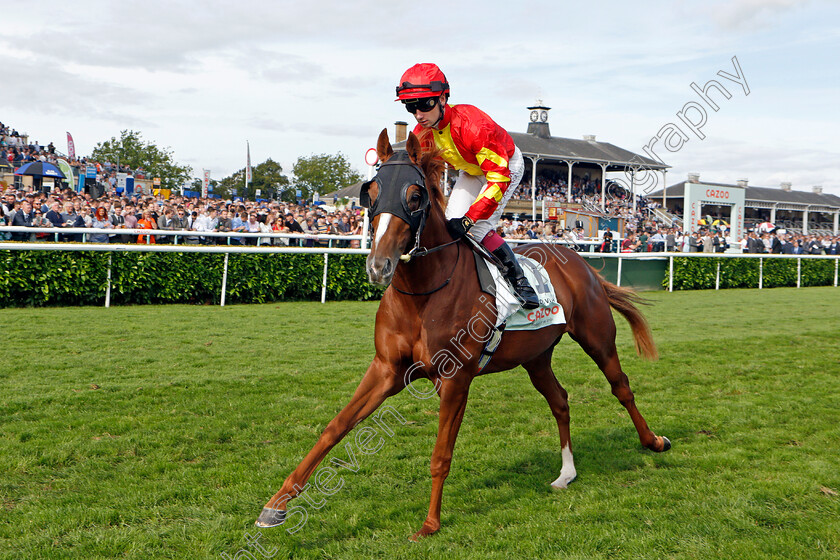 Fernando-Vichi-0002 
 FERNANDO VICHI (Oisin Murphy)
Doncaster 11 Sep 2021 - Pic Steven Cargill / Racingfotos.com