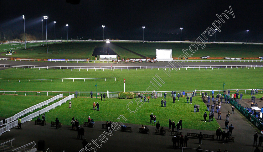 Kempton-0005 
 Punters watch the racing
Kempton 2 Dec 2020 - Pic Steven Cargill / Racingfotos.com