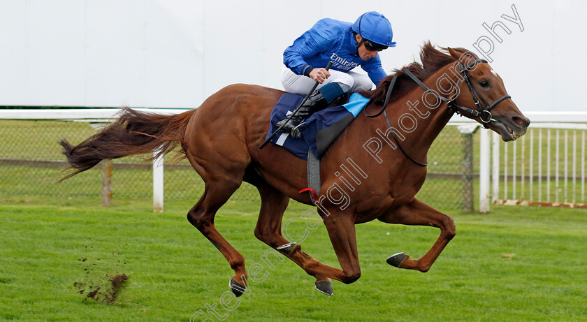 First-Sight-0001 
 FIRST SIGHT (William Buick) wins The Moulton Nurseries Handicap
Yarmouth 19 Sep 2023 - Pic Steven Cargill / Racingfotos.com