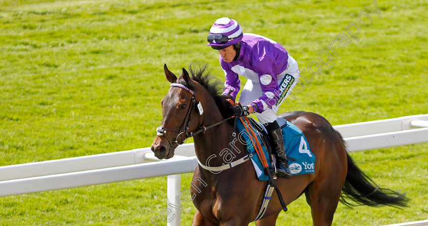 Origintrail-0001 
 ORIGINTRAIL (Graham Lee)
York 16 Jun 2023 - Pic Steven Cargill / Racingfotos.com