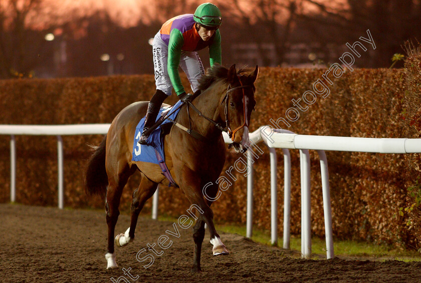 Don-Armado-0002 
 DON ARMADO (Richard Kingscote)
Kempton 4 Jan 2019 - Pic Steven Cargill / Racingfotos.com