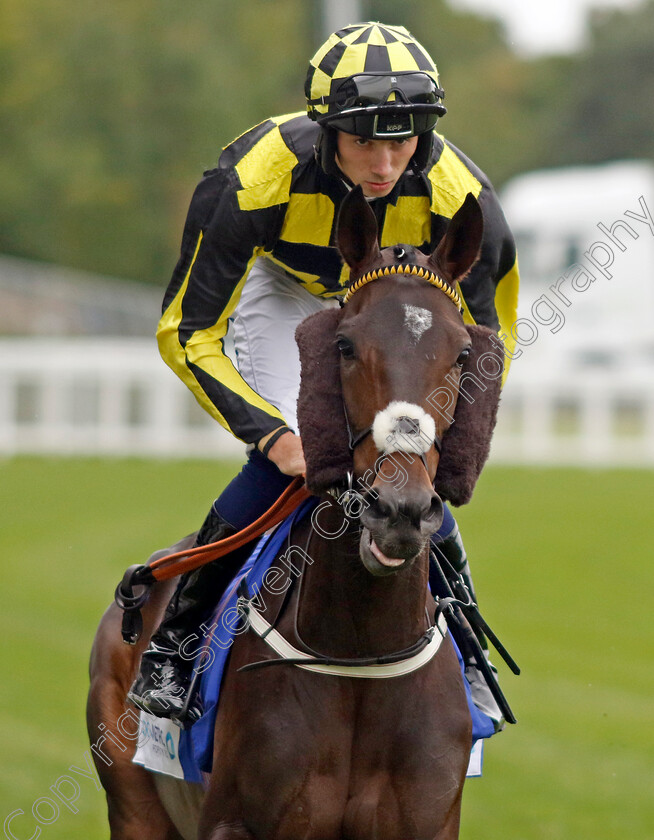 Malakahna-0007 
 MALAKAHNA (Callum Hutchinson) winner of The Londonmetric Handicap
Ascot 30 Sep 2022 - Pic Steven Cargill / Racingfotos.com