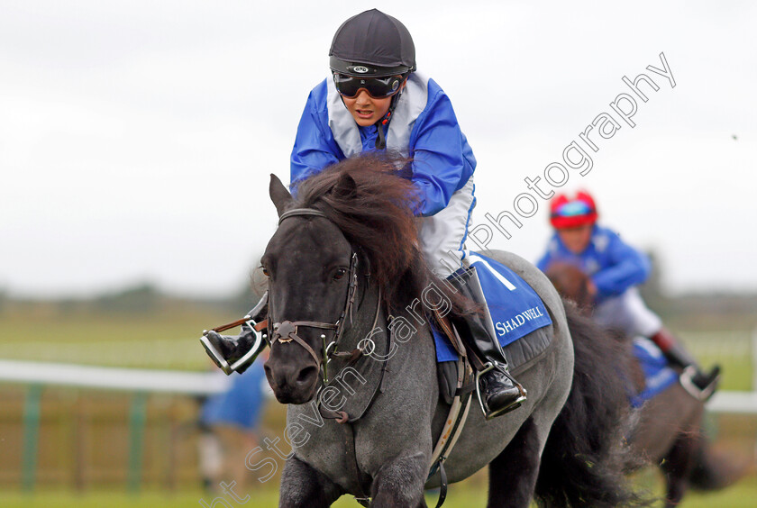 Briar-Smokey-Joe-0007 
 BRIAR SMOKEY JOE (Zak Kent) wins The Shetland Pony Grand National Flat Race Newmarket 29 Sep 2017 - Pic Steven Cargill / Racingfotos.com