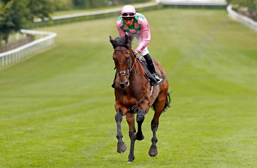 Sierra-Blanca-0001 
 SIERRA BLANCA (Sean Levey)
Newmarket 10 Aug 2024 - Pic Steven Cargill / Racingfotos.com