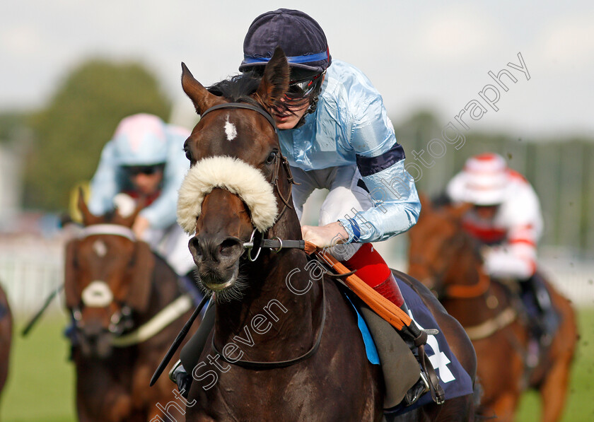 Title-0009 
 TITLE (David Egan) wins The Hippo Pro 3 Handicap
Doncaster 11 Sep 2021 - Pic Steven Cargill / Racingfotos.com