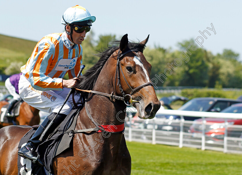 Royal-Blaze-0002 
 ROYAL BLAZE (Dougie Costello)
Goodwood 26 May 2023 - Pic Steven Cargill / Racingfotos.com