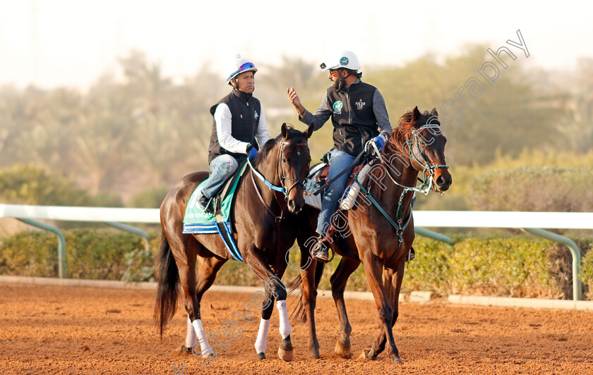 Midnight-Bisou-0001 
 MIDNIGHT BISOU preparing for The Saudi Cup
Riyadh Racetrack, Kingdom Of Saudi Arabia, 27 Feb 2020 - Pic Steven Cargill / Racingfotos.com