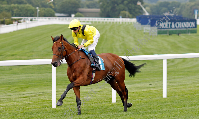 Hosaamm-0001 
 HOSAAMM (William Buick)
Ascot 26 Jul 2024 - Pic Steven Cargill / Racingfotos.com