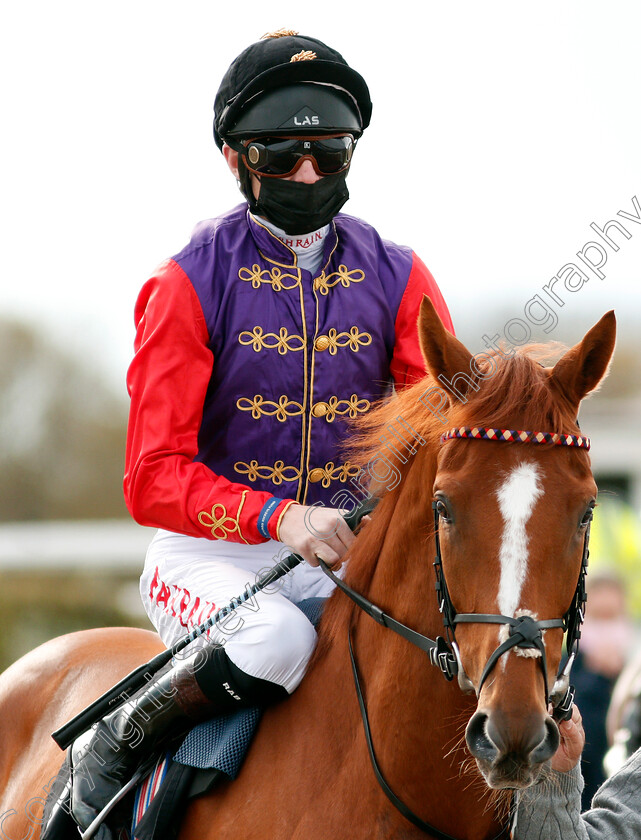 Pied-Piper-0001 
 PIED PIPER (Robert Havlin)
Chelmsford 29 Apr 2021 - Pic Steven Cargill / Racingfotos.com