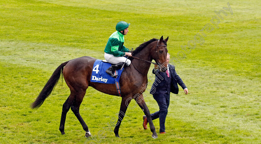 Shackleton-0001 
 SHACKLETON (Ryan Moore)
Newmarket 12 Oct 2024 - Pic Steven Cargill / Racingfotos.com