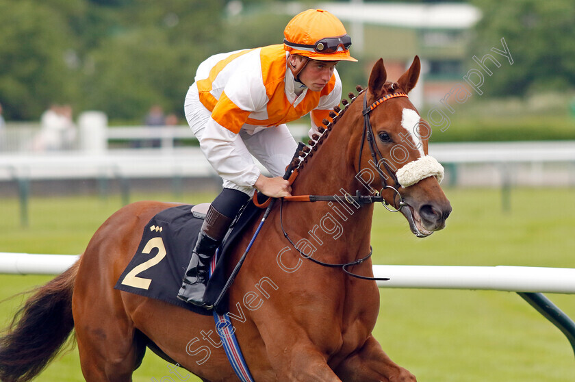 Longuerue-0006 
 LONGUERUE (George Eddery) winner of The Every Race Live On Racing TV Apprentice Handicap
Nottingham 30 May 2023 - Pic Steven Cargill / Racingfotos.com