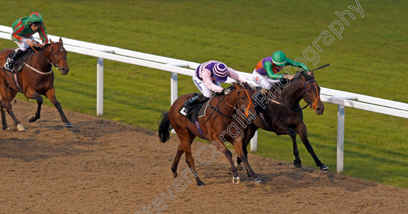 Episcia-0001 
 EPISCIA (right, Aaron Jones) beats GHEPARDO (centre) in The Bet toteJackpot At betfred.com Novice Auction Stakes Chelmsford 26 Sep 2017 - Pic Steven Cargill / Racingfotos.com