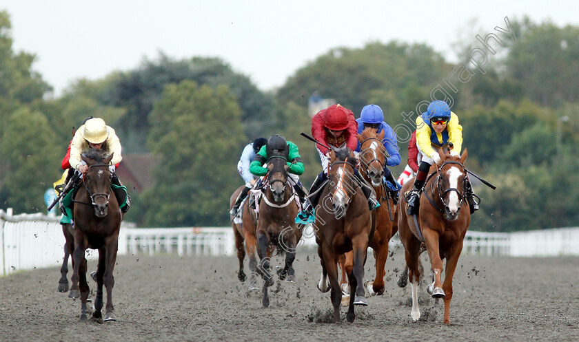 Sweet-Pearl-0002 
 SWEET PEARL (2nd right, Oisin Murphy) beats GUROOR (right) and GOLD AT MIDNIGHT (left) in The British Stallion Studs EBF Fillies Novice Stakes
Kempton 29 Aug 2018 - Pic Steven Cargill / Racingfotos.com