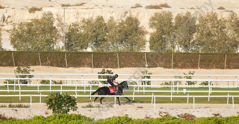 Killer-Ability-0001 
 KILLER ABILITY training for the Bahrain International Trophy
Kingdom of Bahrain 14 Nov 2024 - Pic Steven Cargill / Racingfotos.com