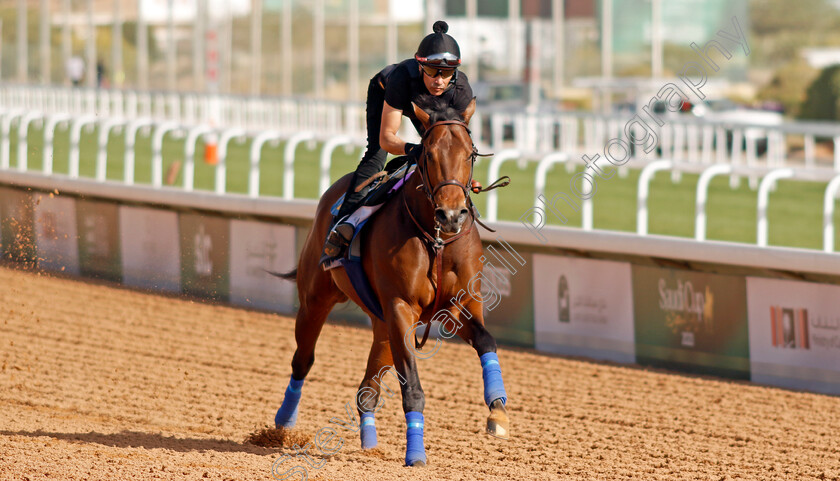 Havnameltdown-0003 
 HAVNAMELTDOWN training for The Saudi Derby
King Abdulaziz Racecourse, Kingdom Of Saudi Arabia, 23 Feb 2023 - Pic Steven Cargill / Racingfotos.com