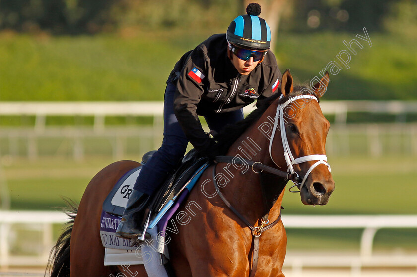 No-Nay-Mets-0001 
 NO NAY METS training for The Breeders' Cup Juvenile Turf Sprint
Santa Anita USA, 30 October 2023 - Pic Steven Cargill / Racingfotos.com