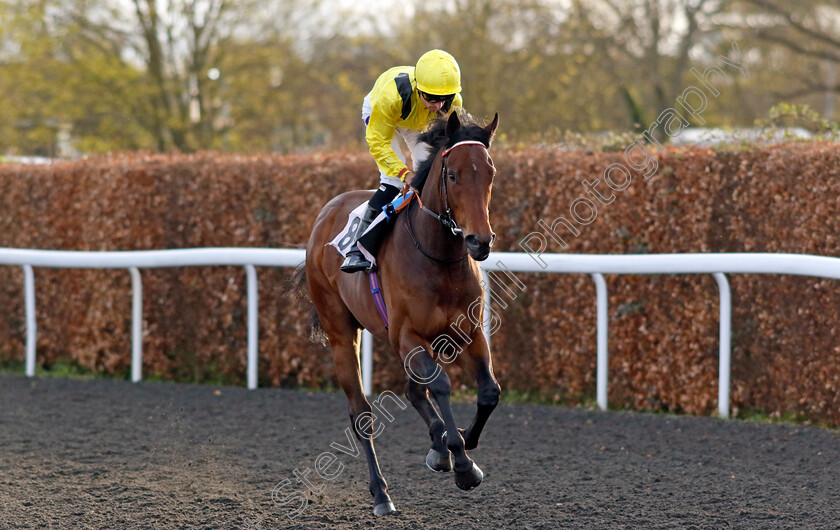 Mesaafi-0001 
 MESAAFI (Kieran Shoemark)
Kempton 3 Apr 2024 - Pic Steven Cargill / Racingfotos.com