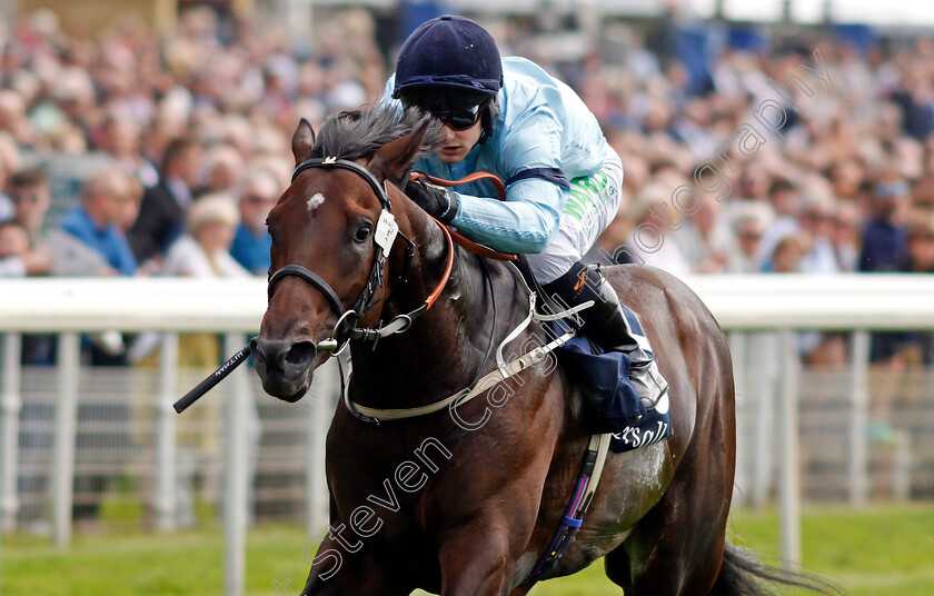 Royal-Patronage-0008 
 ROYAL PATRONAGE (Jason Hart) wins The Tattersalls Acomb Stakes
York 18 Aug 2021 - Pic Steven Cargill / Racingfotos.com