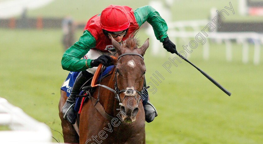 Quel-Destin-0004 
 QUEL DESTIN (Harry Cobden) wins The Masterson Holdings Hurdle
Cheltenham 26 Oct 2019 - Pic Steven Cargill / Racingfotos.com