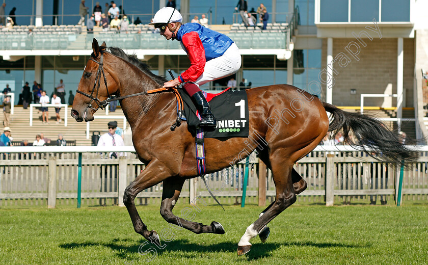 Declared-Interest-0001 
 DECLARED INTEREST (Rob Hiornby)
Newmarket 24 Sep 2021 - Pic Steven Cargill / Racingfotos.com