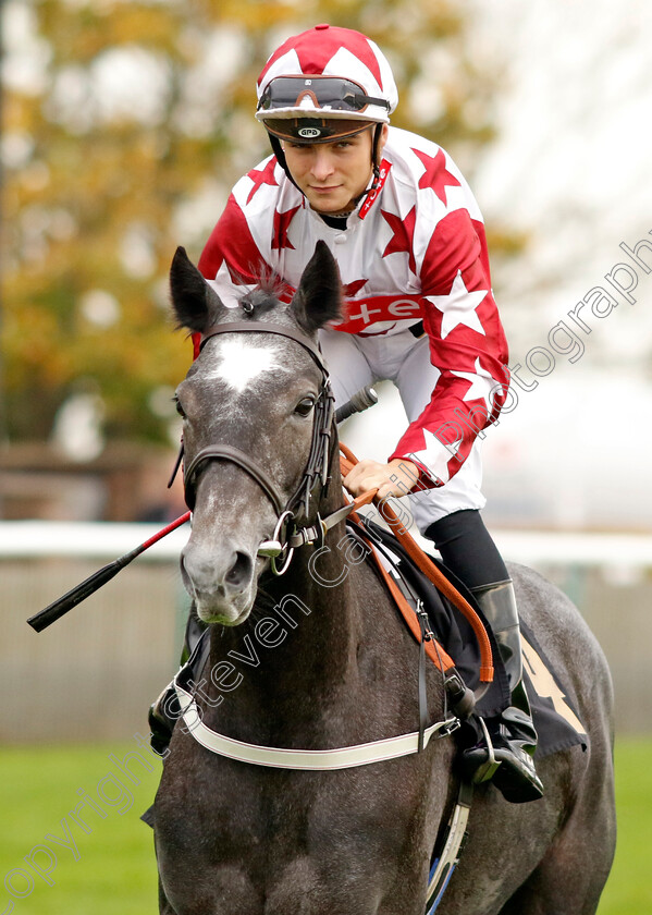 Kamanika-0001 
 KAMANIKA (Thore Hammer Hansen)
Newmarket 29 Oct 2022 - Pic Steven Cargill / Racingfotos.com