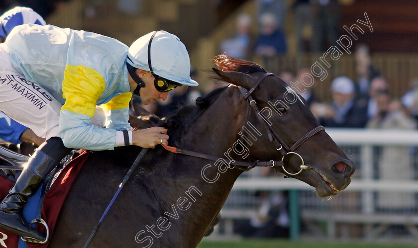 Ramadan-0001 
 RAMADAN (A Lemaitre) wins The Qatar Prix Daniel Wildenstein
Longchamp 5 Oct 2024 - Pic Steven Cargill / Racingfotos.com