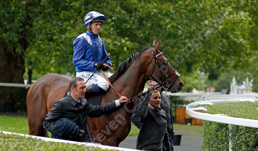 Hukum-0001 
 HUKUM (Jim Crowley) winner of The ABF/BGC Cumberland Lodge Stakes
Ascot 2 Oct 2021 - Pic Steven Cargill / Racingfotos.com