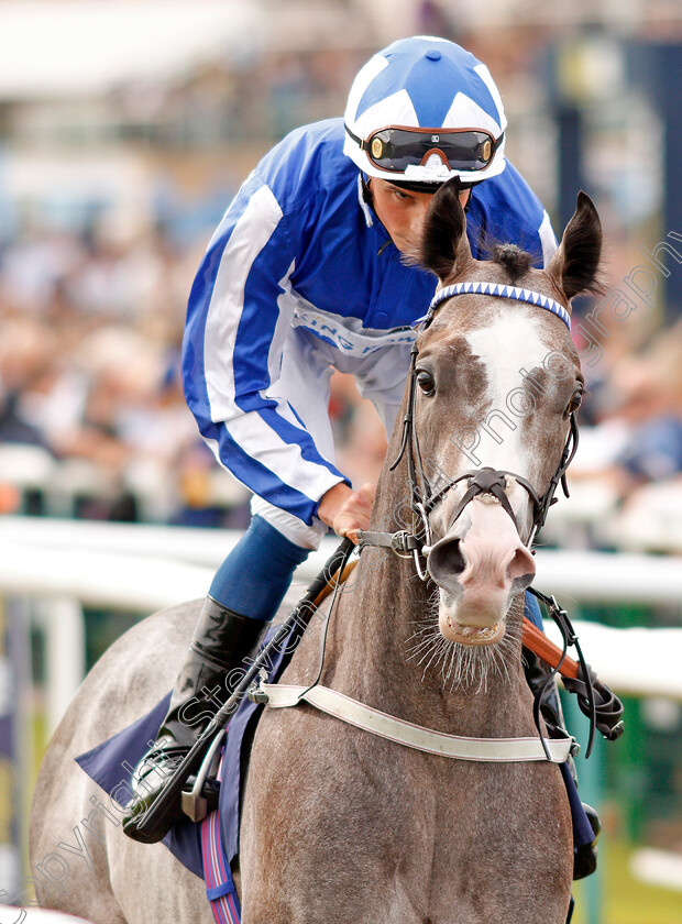 Shine-So-Bright-0002 
 SHINE SO BRIGHT (William Buick)
Doncaster 14 Sep 2019 - Pic Steven Cargill / Racingfotos.com