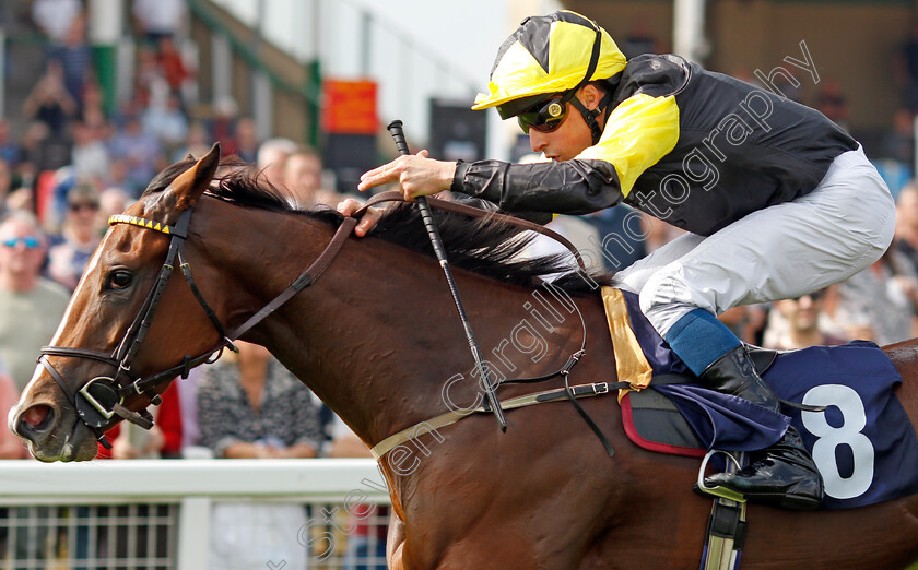 Wajd-0005 
 WAJD (William Buick) wins The British EBF Fillies Novice Stakes
Yarmouth 16 Sep 2021 - Pic Steven Cargill / Racingfotos.com