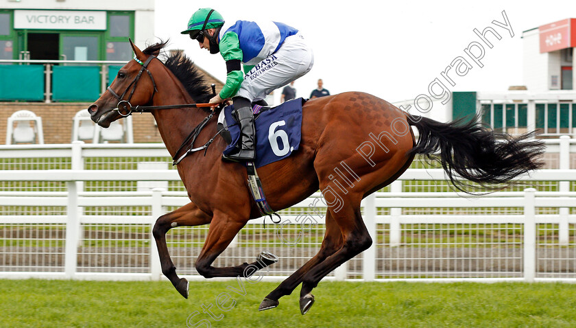 Ready-To-Venture-0005 
 READY TO VENTURE (Tom Marquand) wins The British Stallion Studs EBF Maiden Stakes
Yarmouth 16 Sep 2020 - Pic Steven Cargill / Racingfotos.com