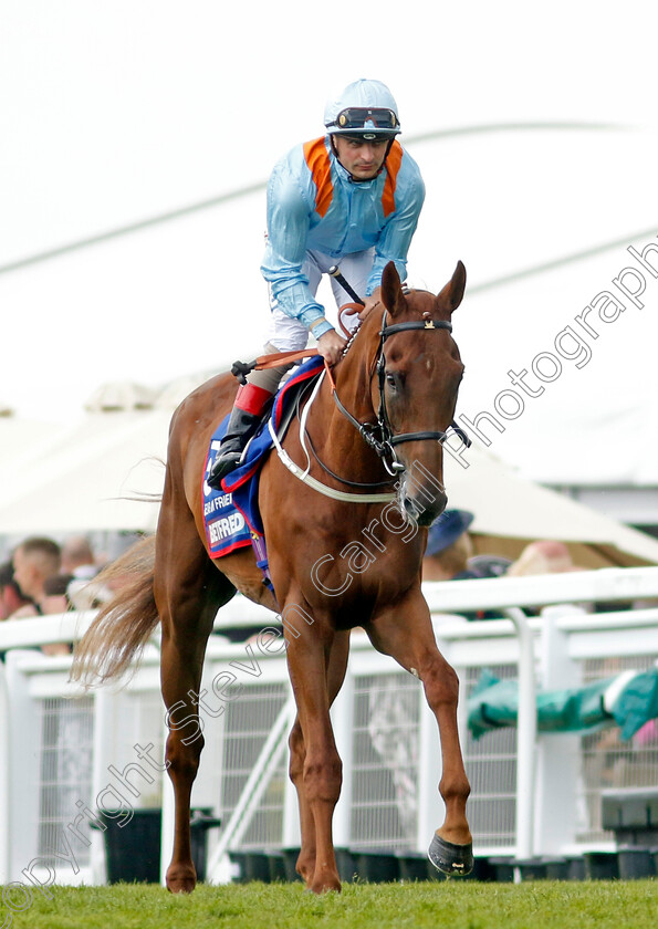 Dear-My-Friend-0001 
 DEAR MY FRIEND (Andrea Atzeni)
Epsom 3 Jun 2023 - Pic Steven Cargill / Racingfotos.com