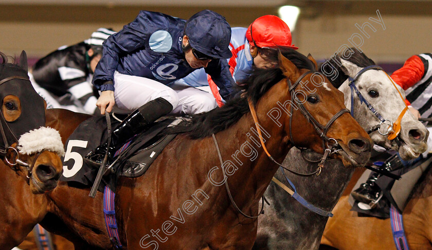 Rangali-Island-0005 
 RANGALI ISLAND (Callum Shepherd) wins The Bet totetrifecta At totesport.com Handicap
Chelmsford 11 Jan 2020 - Pic Steven Cargill / Racingfotos.com