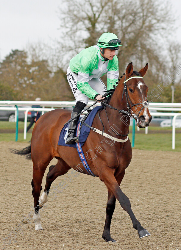 Emraan-0002 
 EMRAAN (Richard Kingscote) before The Bombardier Golden Beer Novice Stakes
Lingfield 14 Feb 2020 - Pic Steven Cargill / Racingfotos.com