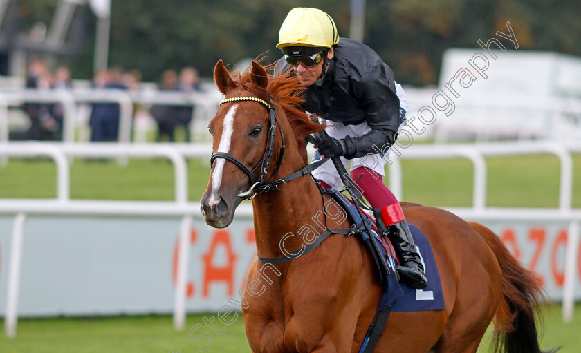 Stradivarius-0001 
 STRADIVARIUS (Frankie Dettori) winner of The Doncaster Cup
Doncaster 10 Sep 2021 - Pic Steven Cargill / Racingfotos.com