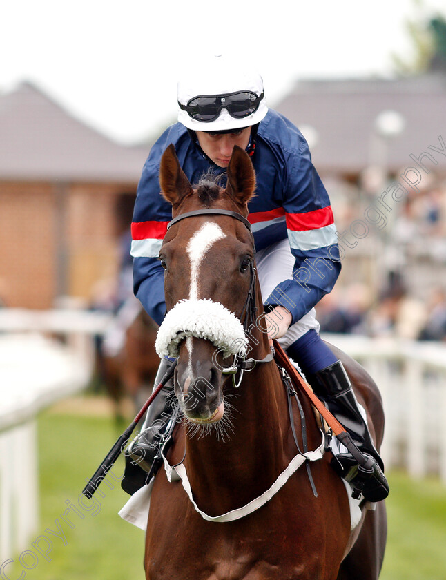 Contango-0001 
 CONTANGO (Oisin Murphy)
York 16 May 2018 - Pic Steven Cargill / Racingfotos.com