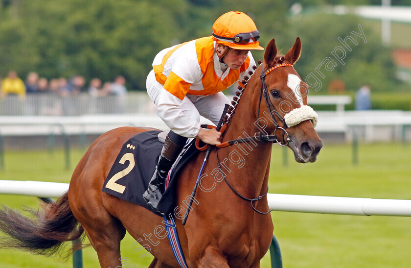 Longuerue-0005 
 LONGUERUE (George Eddery) winner of The Every Race Live On Racing TV Apprentice Handicap
Nottingham 30 May 2023 - Pic Steven Cargill / Racingfotos.com