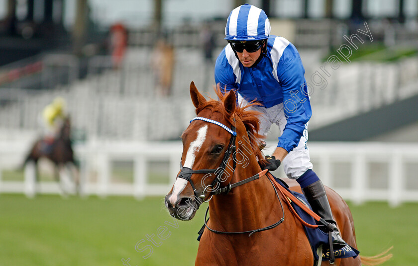 Mohaafeth-0003 
 MOHAAFETH (Jim Crowley) winner of The Hampton Court Stakes
Royal Ascot 17 Jun 2021 - Pic Steven Cargill / Racingfotos.com