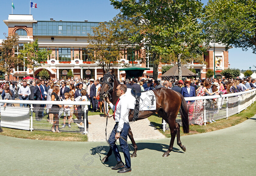 Artorius-0006 
 ARTORIUS
Deauville 7 Aug 2022 - Pic Steven Cargill / Racingfotos.com