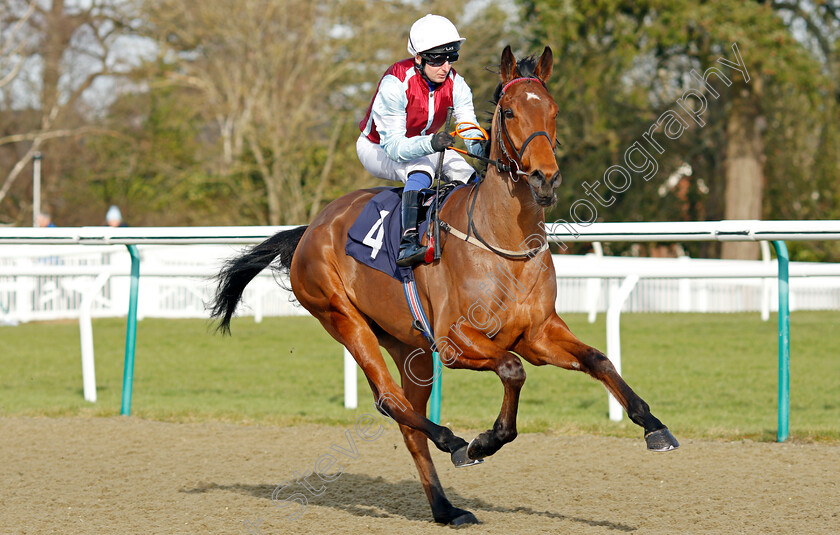 Admiral s-Launch 
 ADMIRAL'S LAUNCH (Martin Dwyer)
Lingfield 5 Feb 2022 - Pic Steven Cargill / Racingfotos.com